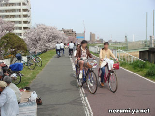 休日の多摩川サイクリングロードは人が多い
